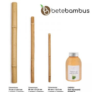 Set Bete Bambus - Anticelulitic & Drenaj Limfatic Profesional - 3 piese (Italia) + Cadou